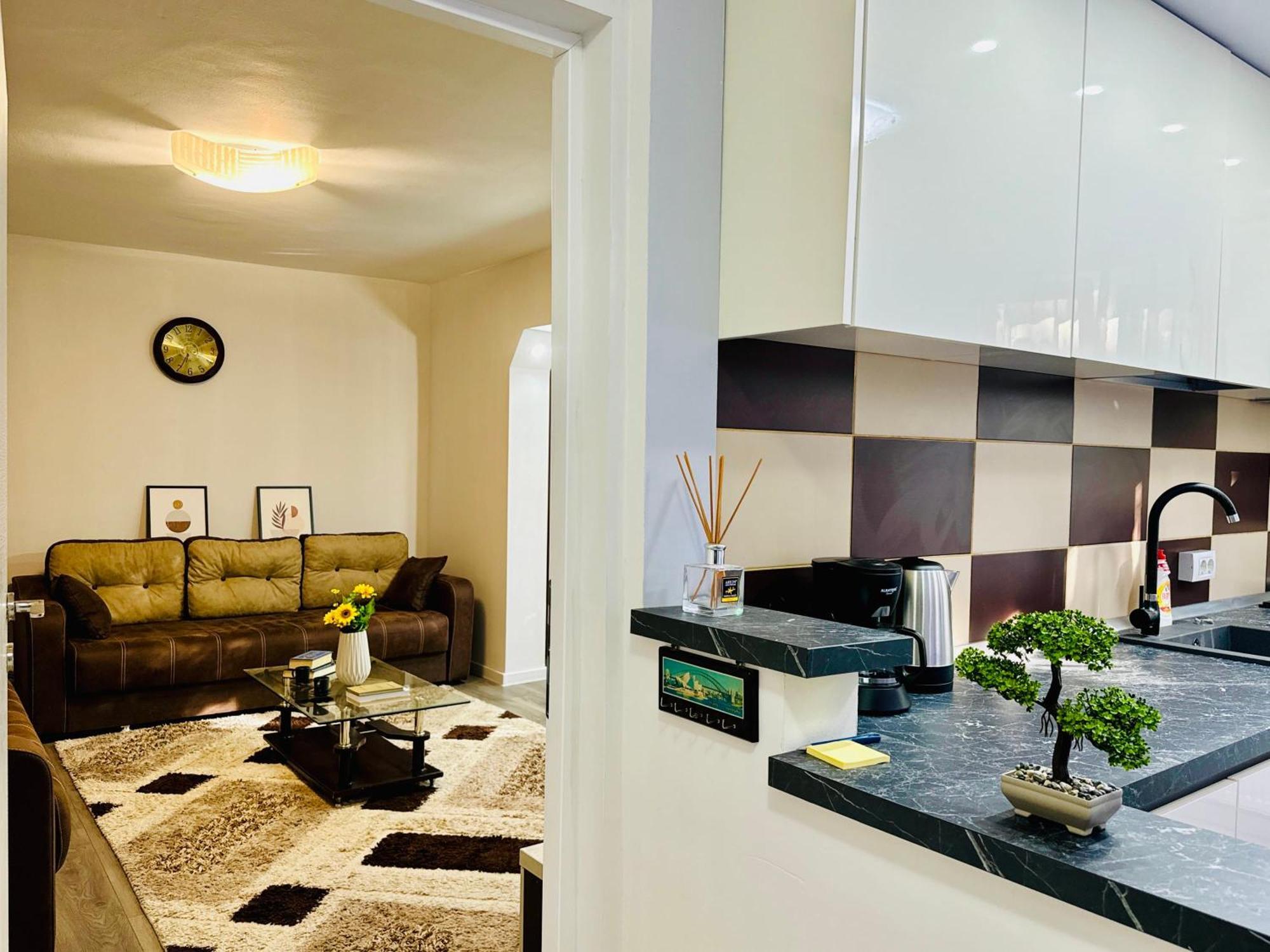 Joy City Stay Spacious Comfortable تيميشورا المظهر الخارجي الصورة